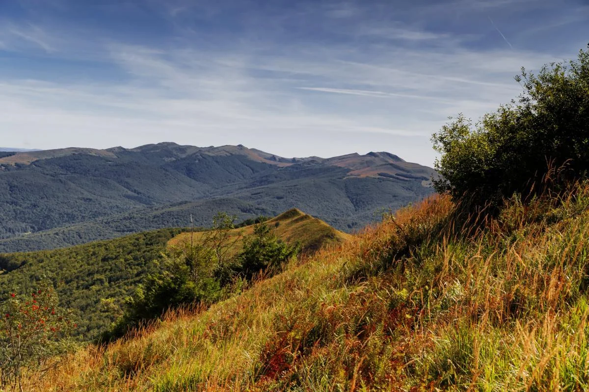 Bieszczady - 12.08.2022 - Zdjęcie główne