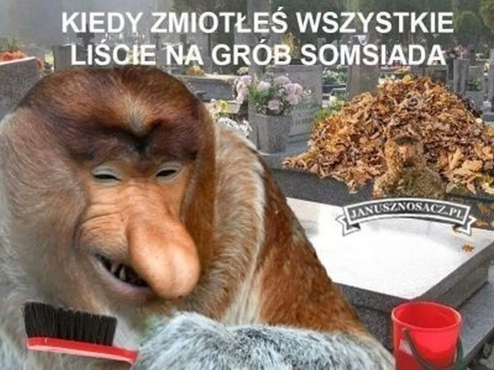 Dzień Wszystkich Świętych: Najlepsze memy