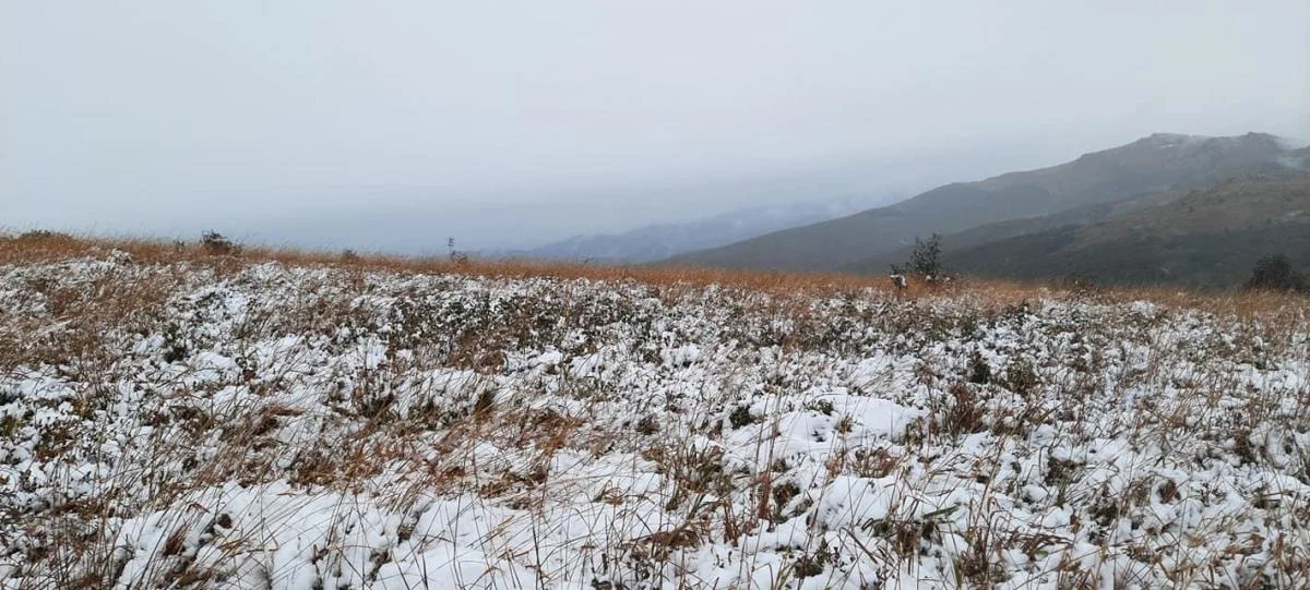 Pierwszy śnieg w Bieszczadach