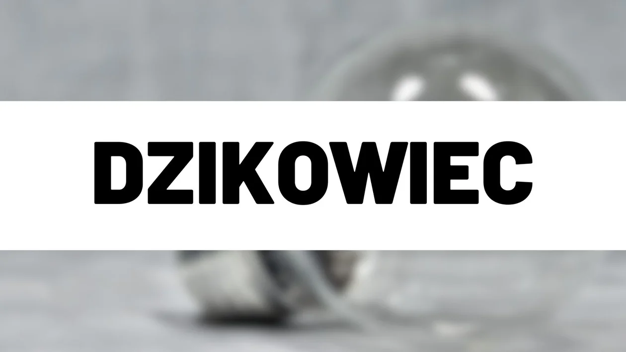 Dzikowiec