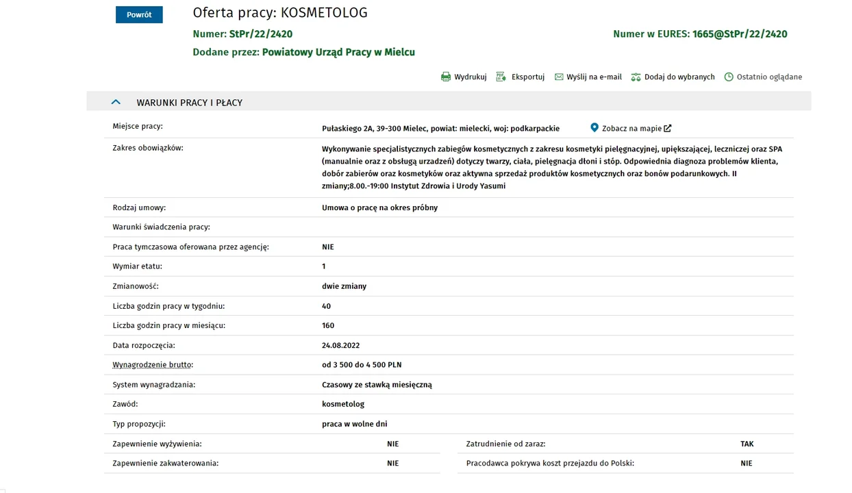 Najnowsze oferty pracy na Podkarpaciu. Od kucharzy po kierowców i nie tylko. Sprawdź, gdzie możesz znaleźć zatrudnienie