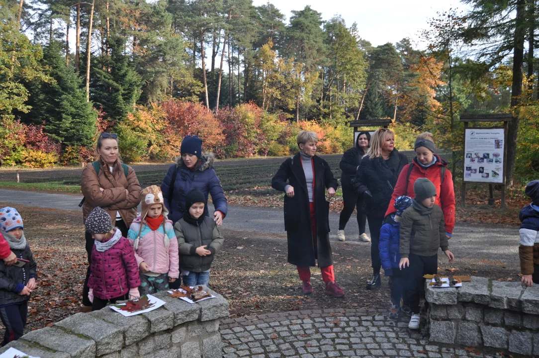 Mali leśni detektywi