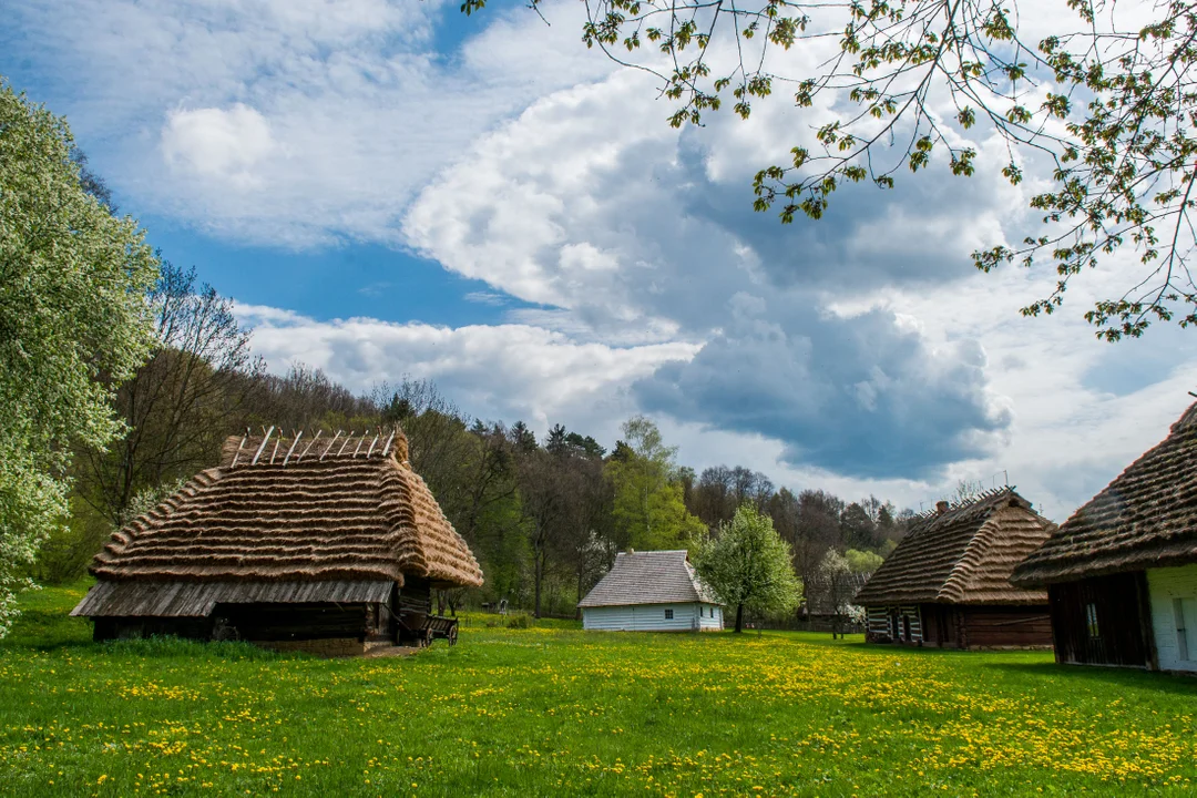 Sanocki skansen wiosną jest wyjątkowo piękny