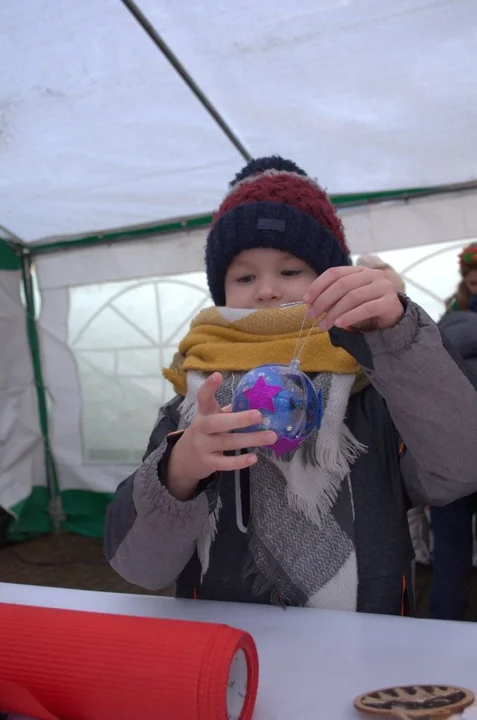 Świąteczna Farma Choinkowa w Domatkowie 2025