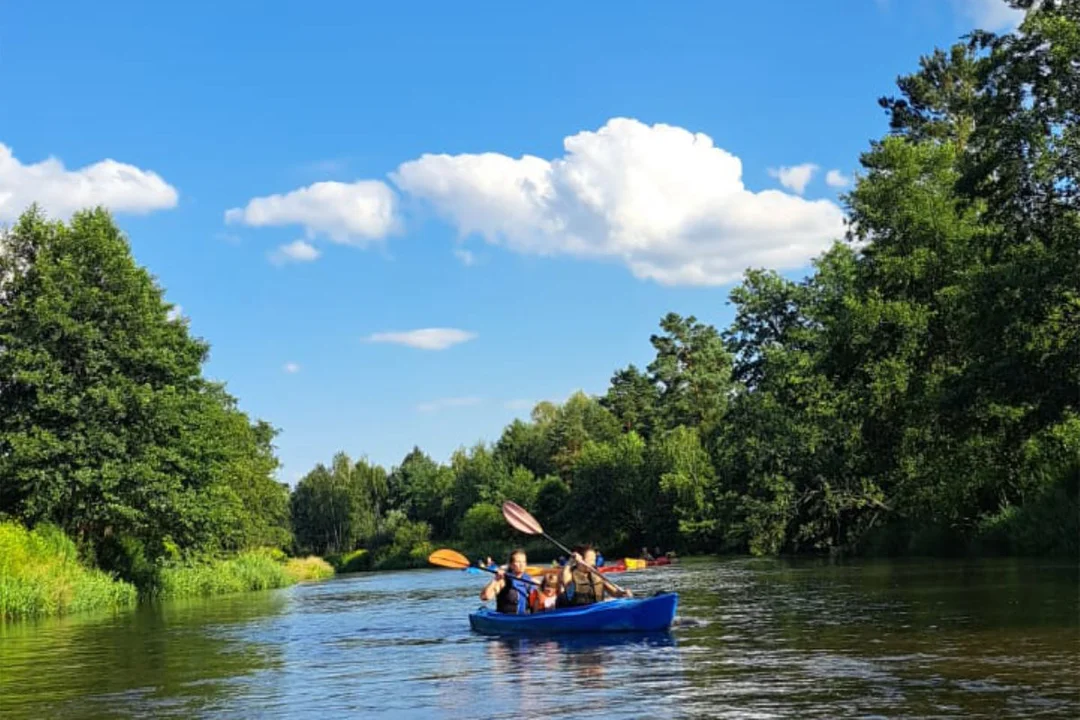 Spływy kajakowe Tanwią