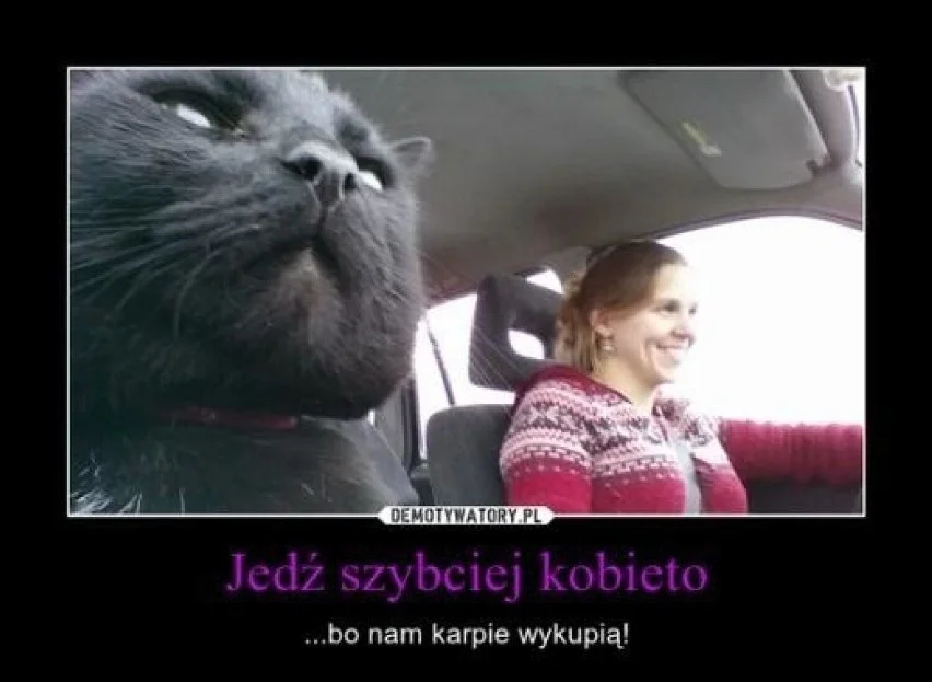 Memy na Święta Bożego Narodzenia