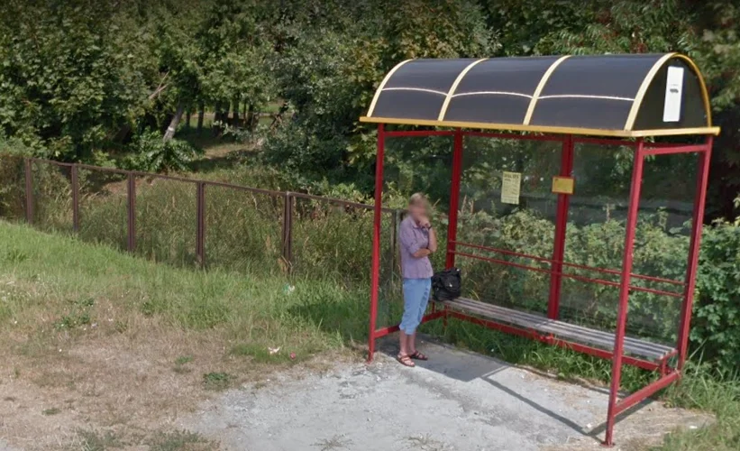 Mieszkańcy Dzikowca na Google Street View