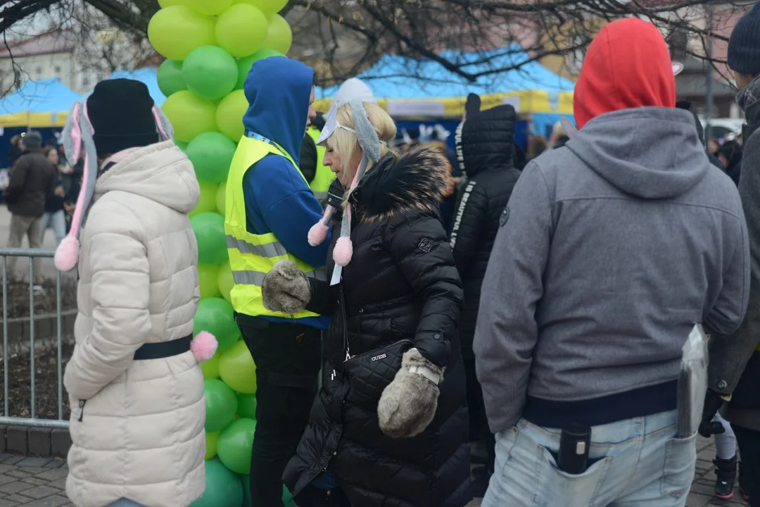 Rekord Polski dla Bartoszka Jędrasika chorego na SMA. W Tarnobrzegu zgromadziło się ponad 500 osób przebranych za króliki