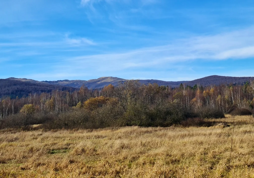 Panorama na Bieszczady Wysokie