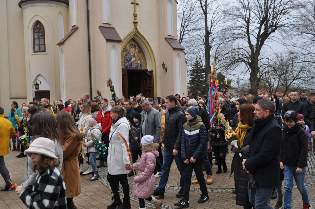 Parafianie w Przecławiu świętowali z pięknymi palmami własnego wykonania