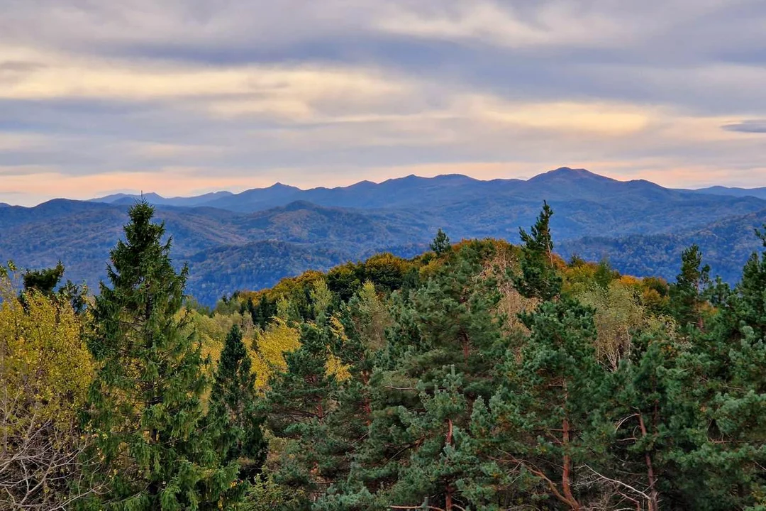 Panorama z wieży widokowej na Korbani