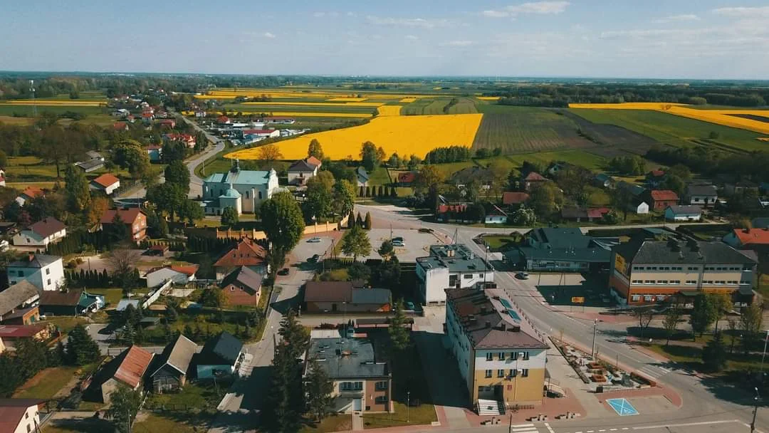 Gmina Borowa w rzepaku skąpana