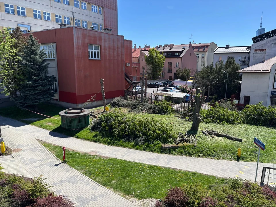 Wycinka drzew w samym centrum Rzeszowa