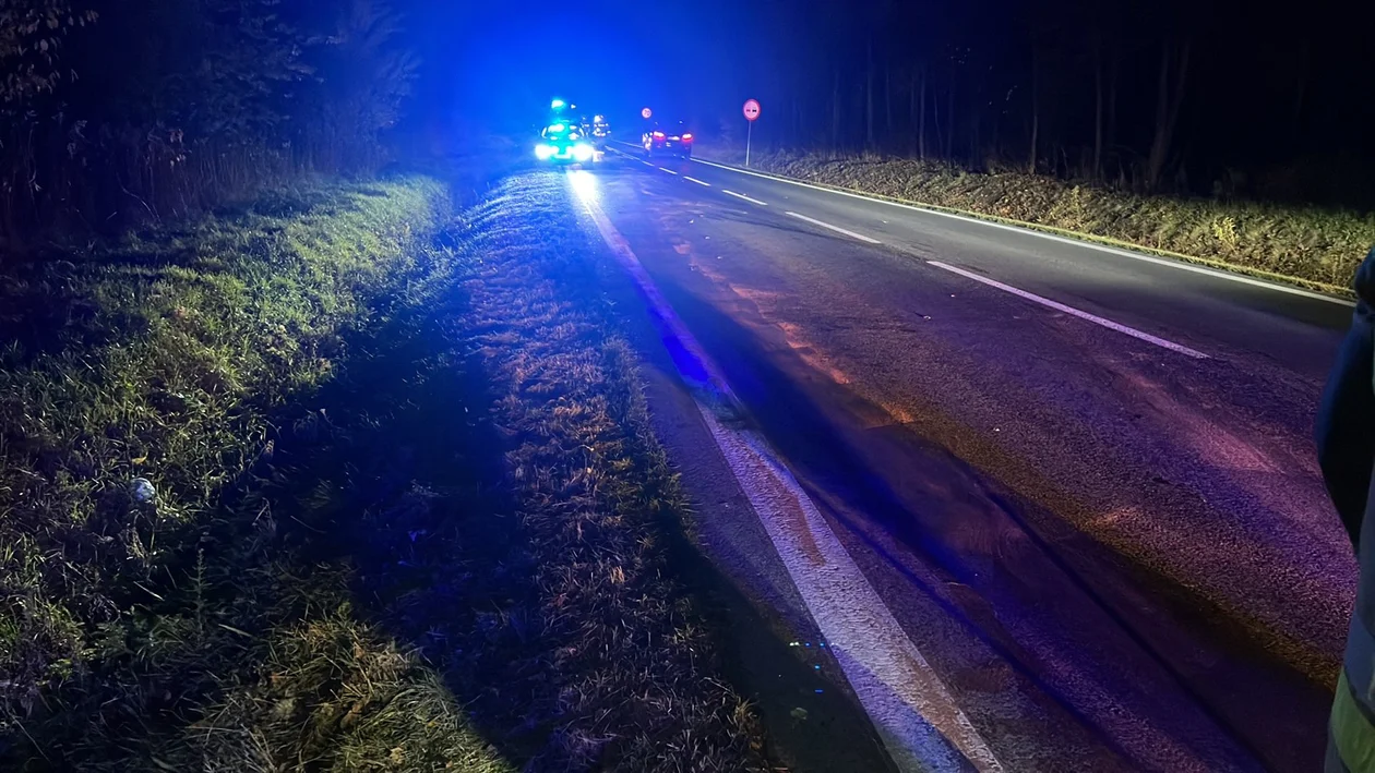 Spotkanie z sarną na DW 877