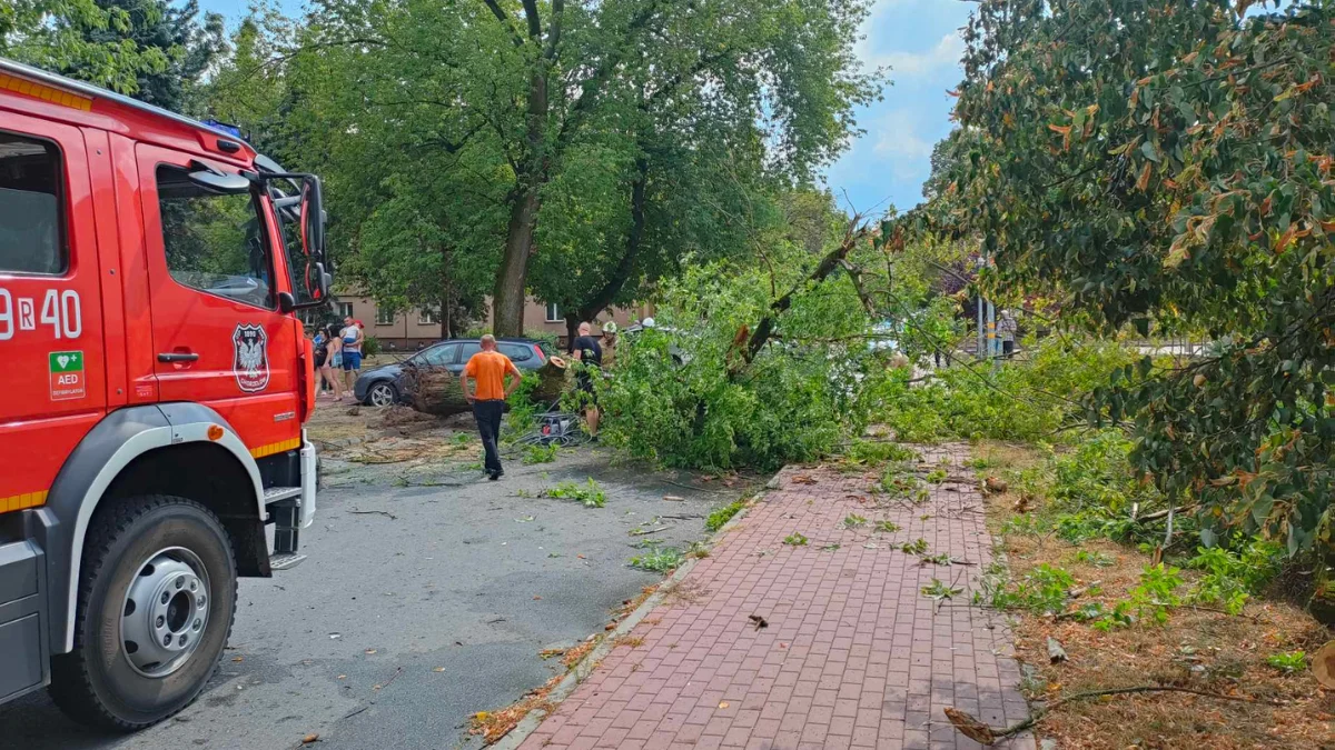 Potężna burza przeszła nad powiatem mieleckim. Są połamane drzewa i uszkodzone samochody [ZDJĘCIA] - Zdjęcie główne