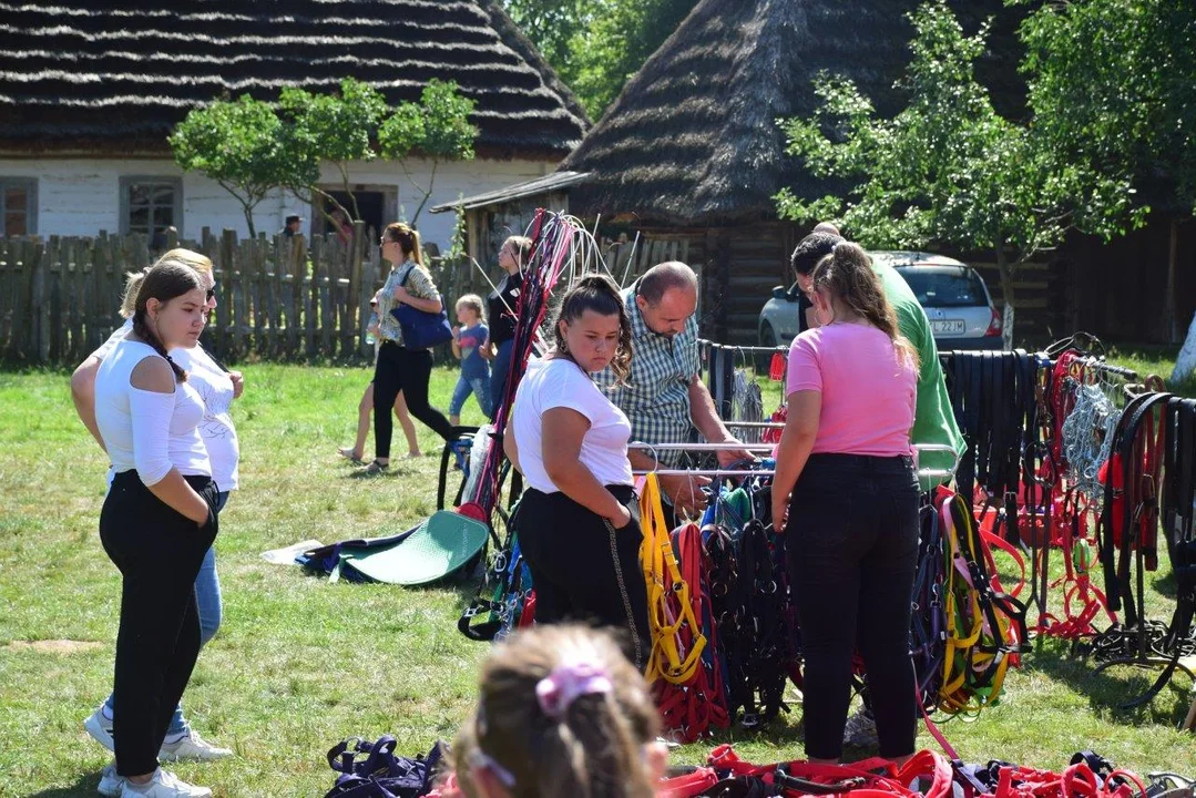 Tłumy na imprezie w skansenie w Kolbuszowej.