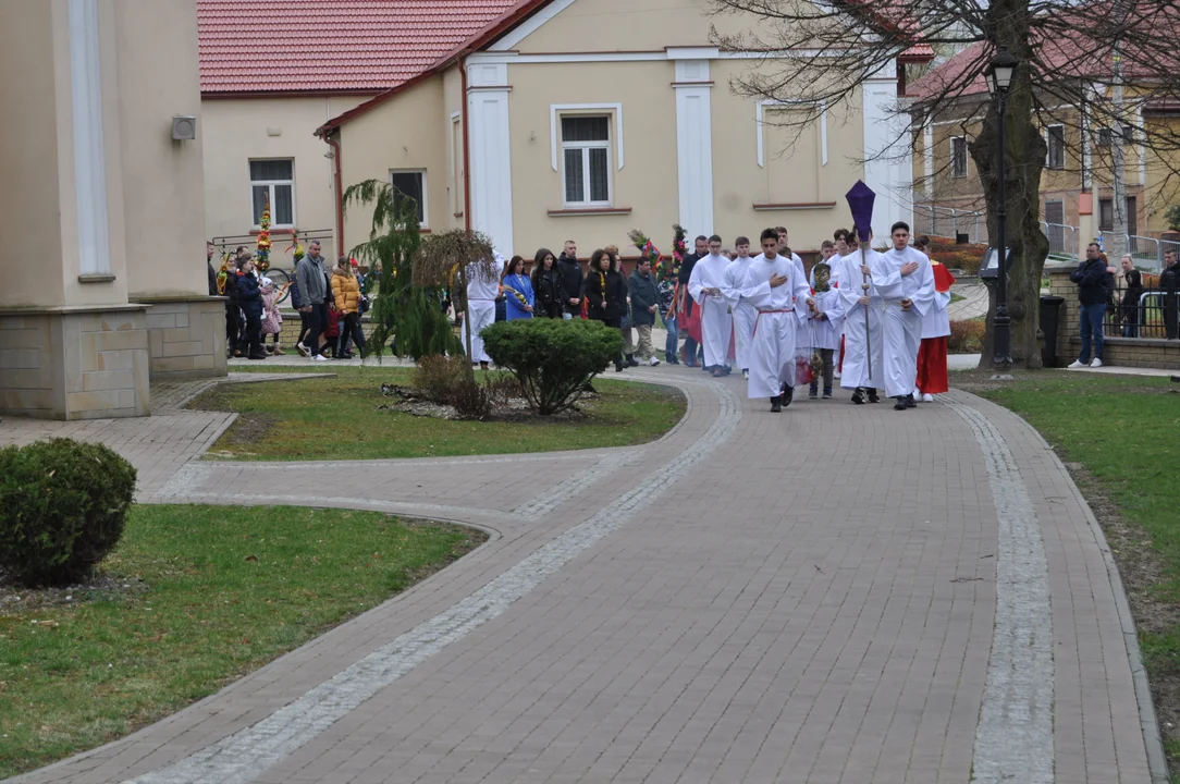 Parafianie w Przecławiu świętowali z pięknymi palmami własnego wykonania