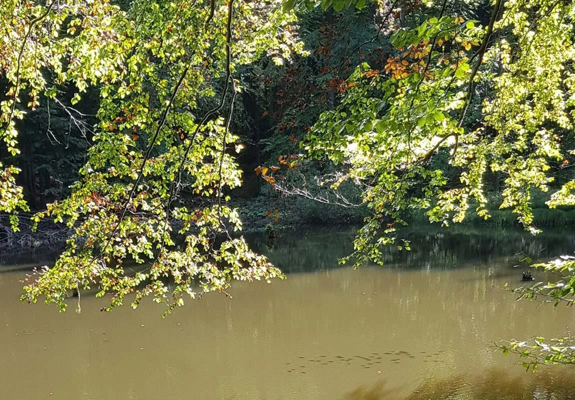 Jeziorka Duszatyńskie jesienią