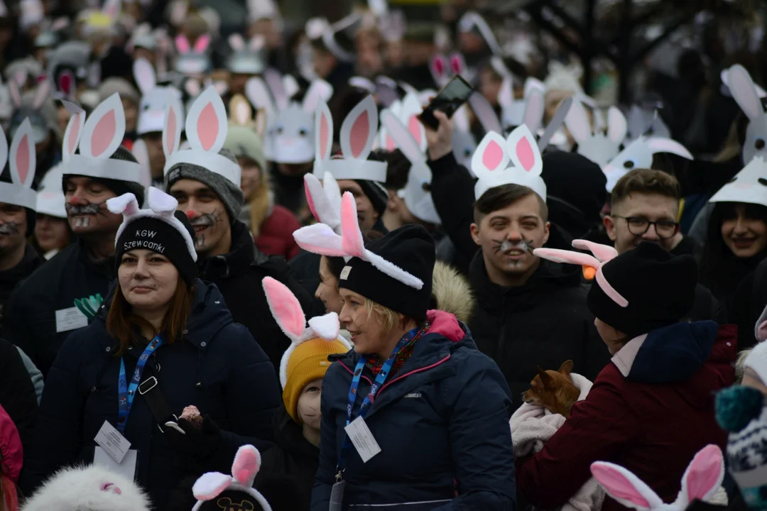 Rekord Polski dla Bartoszka Jędrasika chorego na SMA. W Tarnobrzegu zgromadziło się ponad 500 osób przebranych za króliki