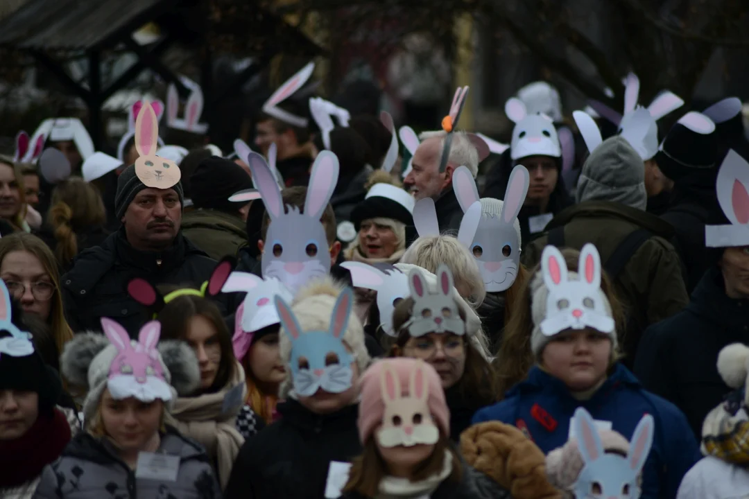 Rekord Polski dla Bartoszka Jędrasika chorego na SMA. W Tarnobrzegu zgromadziło się ponad 500 osób przebranych za króliki