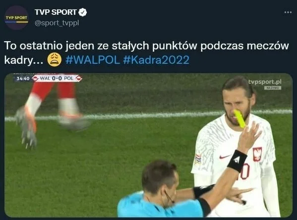 Memy po meczu Walia - Polska