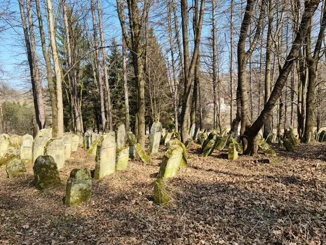 Cmentarz żydowski w Lesku
