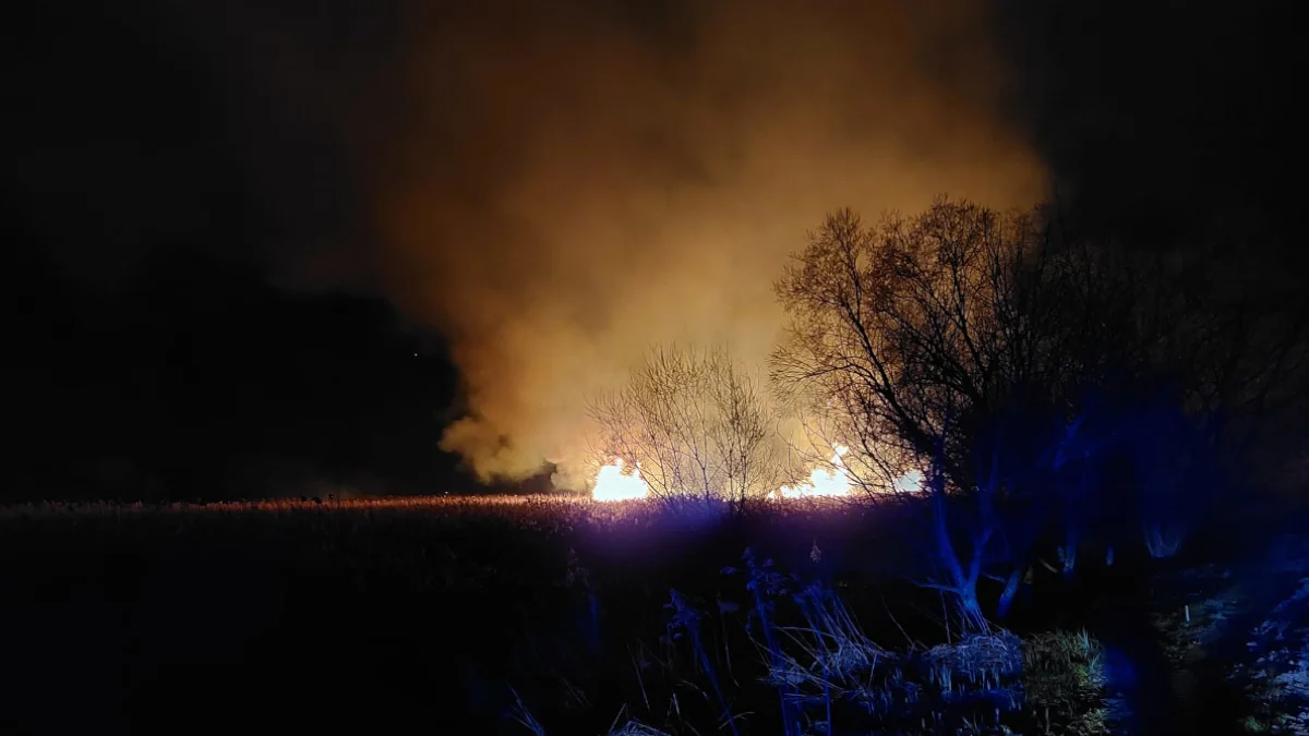 Pożary nieużytków w regionie Sandomierza