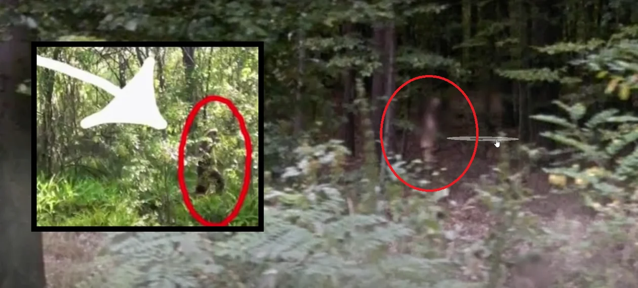 W lasach Głogowa Małopolskiego samochód Google uchwycił tajemniczą postać [ZDJĘCIA] - Zdjęcie główne