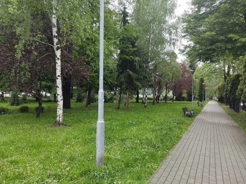 Aktualny stan terenu zielonego przy ul. Staszica