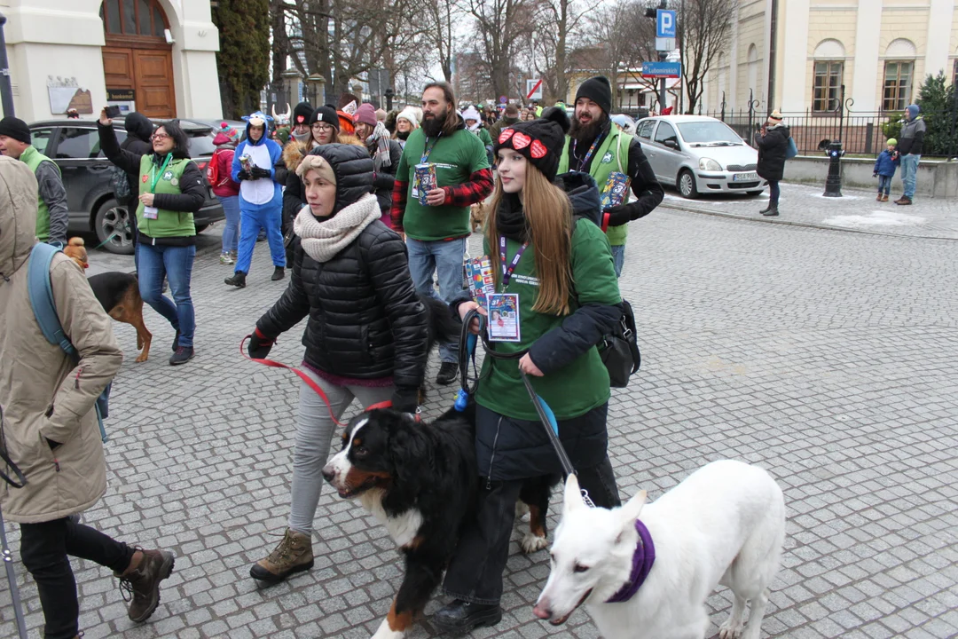 WOŚP 2023: Barwny korowód wolontariuszy, morsów, rowerzystów i pięknych psów rasowych