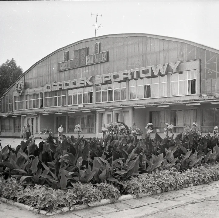 Mielec. Co ma wspólnego stara "Hangar Arena" z kwaterą dowodzenia III Rzeszy? - Zdjęcie główne