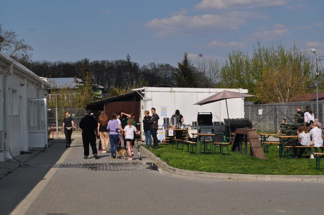 Szczęśliwy dzień dla psiaków, spacery i wyjście z klatek