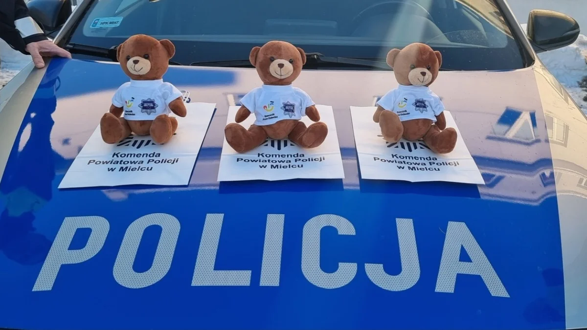 Policjanci z Mielca zaopiekowali się dziećmi, które uczestniczyły w wypadku [ZDJĘCIA]