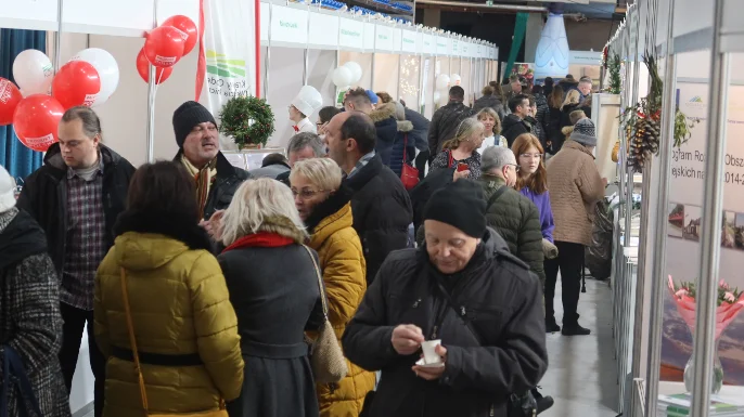 Drugi dzień EKOGALI w Rzeszowie. Pyszne degustacje, zakupy i konkursy [ZDJĘCIA, WIDEO]