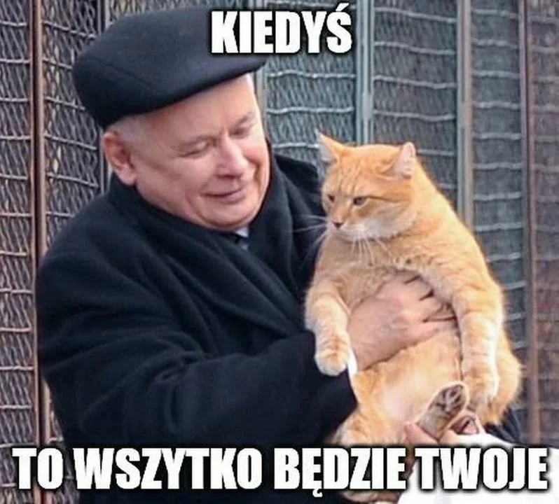 Jarosław Kaczyński i najlepsze memy na temat prezesa Prawa i Sprawiedliwości