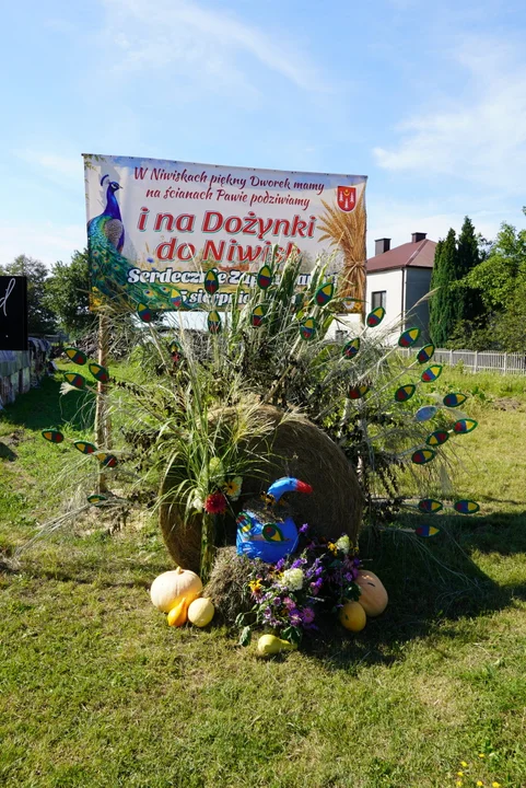 Zapole
