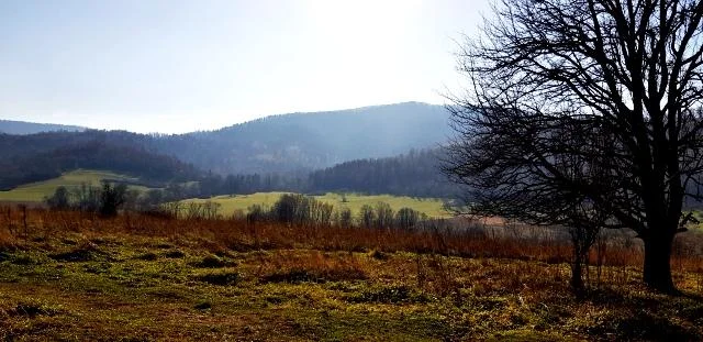 Krywe. Widok na wzgórza