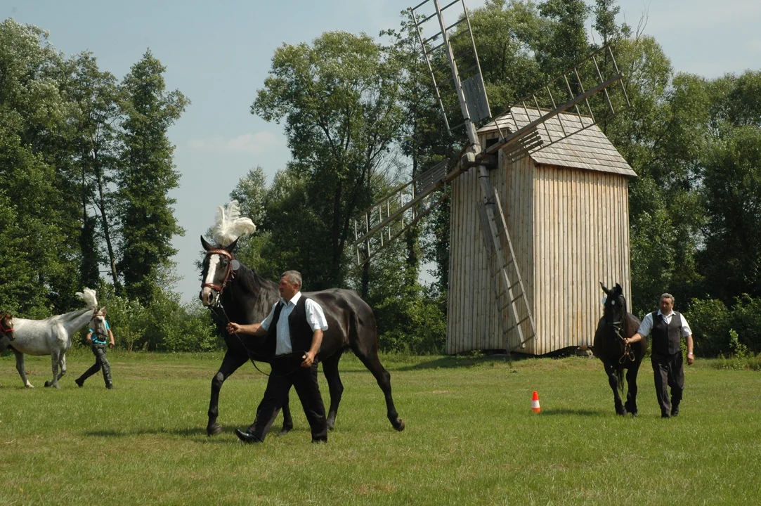 Koń w skansenie - Kolbuszowa 2011 rok