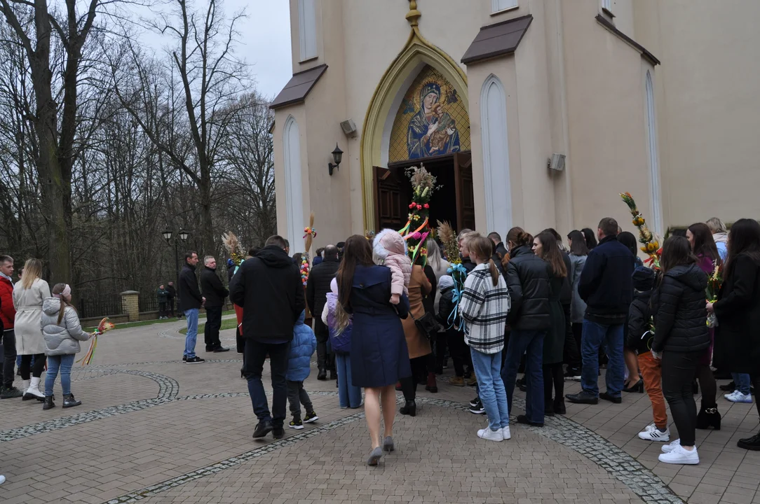 Parafianie w Przecławiu świętowali z pięknymi palmami własnego wykonania