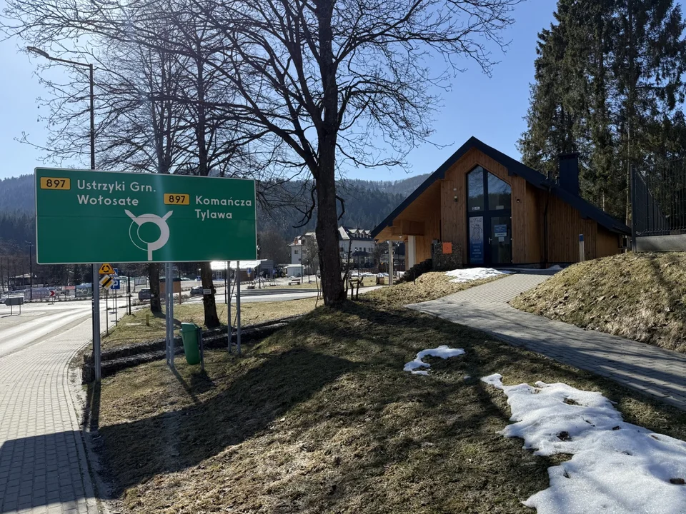 Cisna w słoneczny dzień