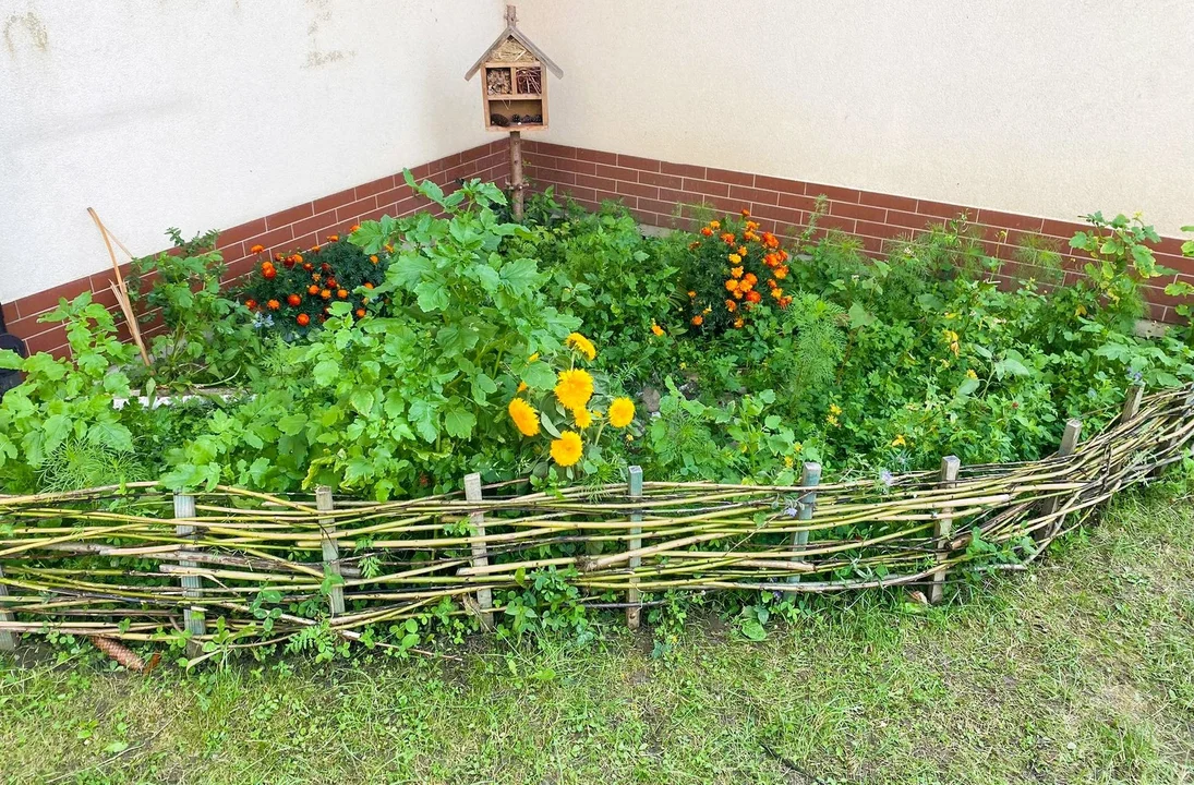 Klimatyczny zakątek w Szkole Podstawowej w Niebieszczanach - Zdjęcie główne