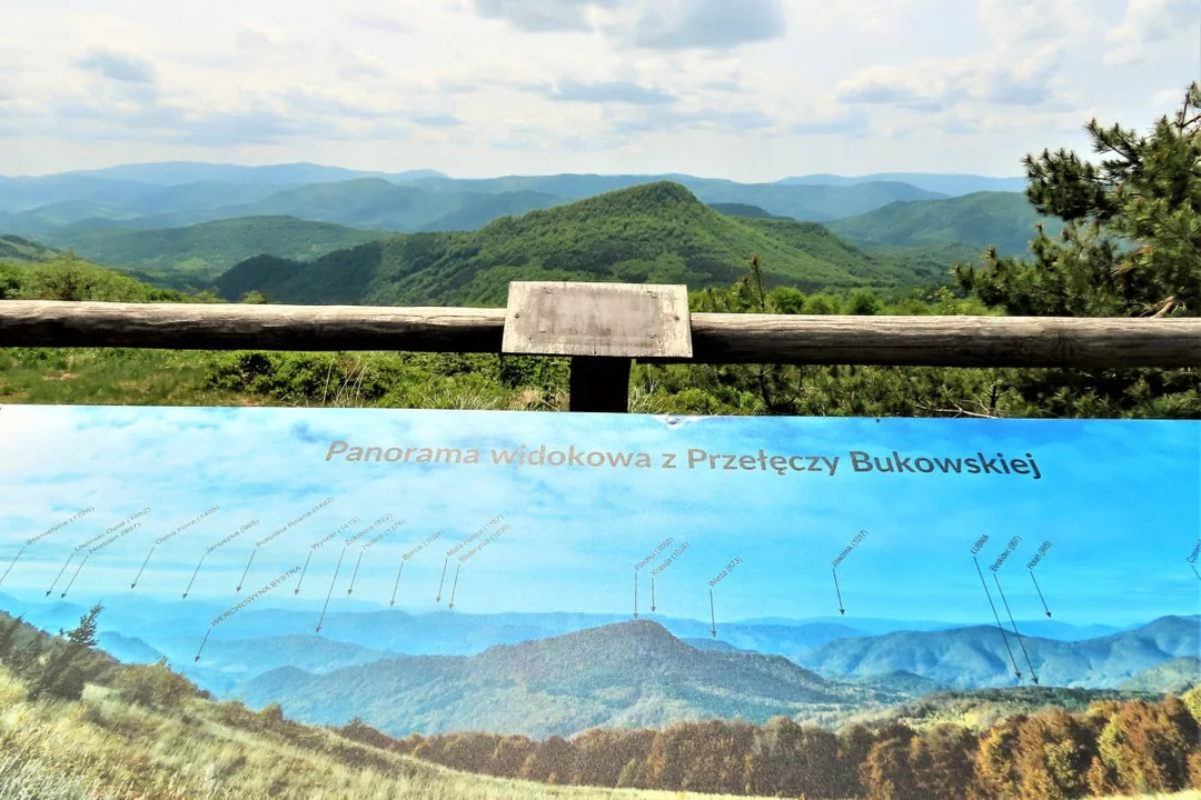 Panorama z Przełęczy Bukowskiej