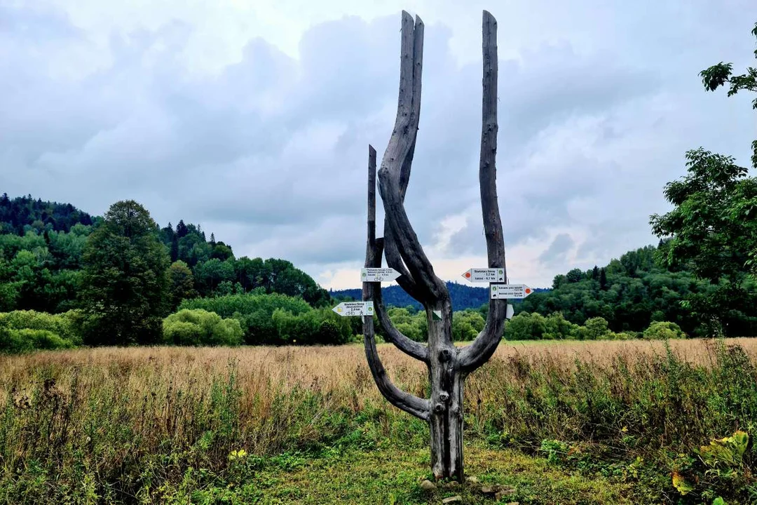 Na rozwidleniu szlaków - Tarnawa