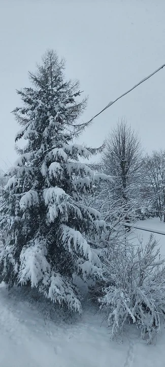 Atak zimy na Podkarpaciu