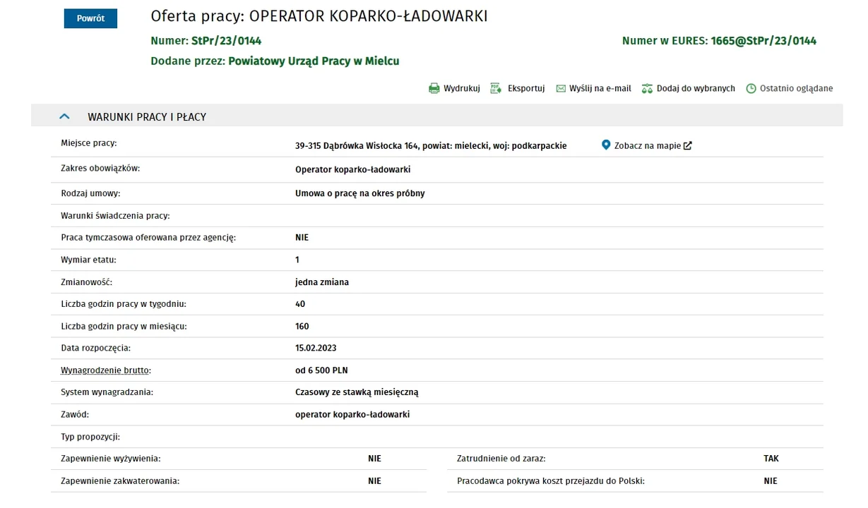 Nowe oferty pracy na Podkarpaciu. Szukają kierowców, fizjoterapeutów, a także pracowników na budowę S19