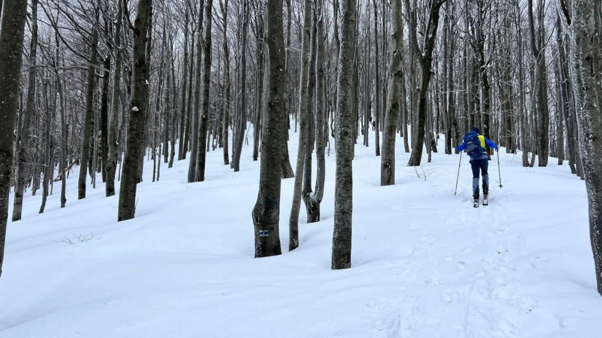 Bieszczadzka przygoda na nartach. Skitouring na Małą i Wielką Rawkę [ZDJĘCIA, WIDEO] - Zdjęcie główne