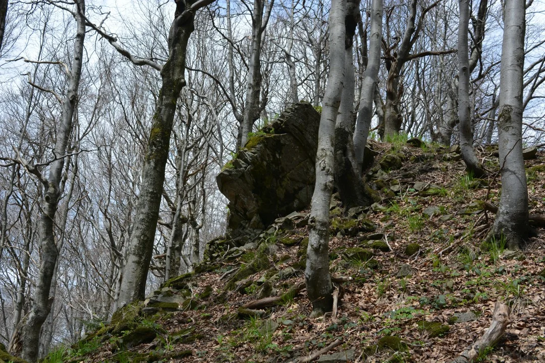 Pierwsze wejście szlakiem "Stary Majdan" na Łopiennik