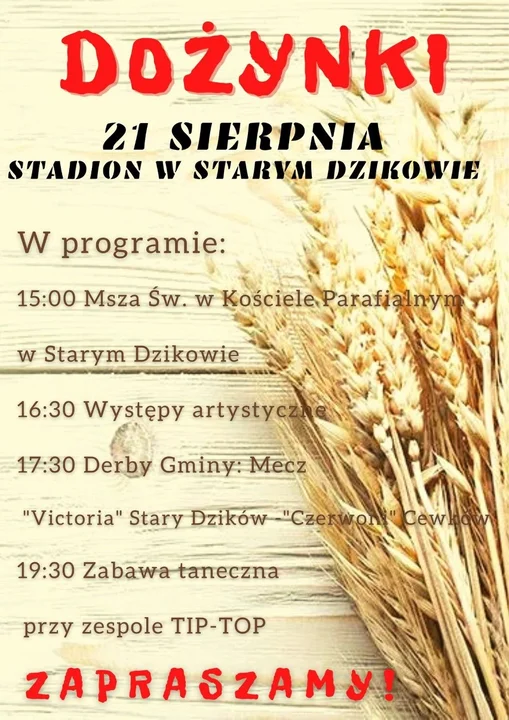 Koncerty, festiwale, dożynki - sprawdź, co będzie się działo w weekend 19-21 sierpnia