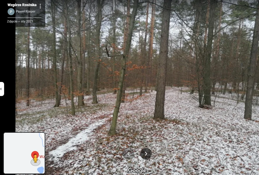 Tajemnicza postać w lesie w Głogowie Małopolskim uchwycona w Google Maps