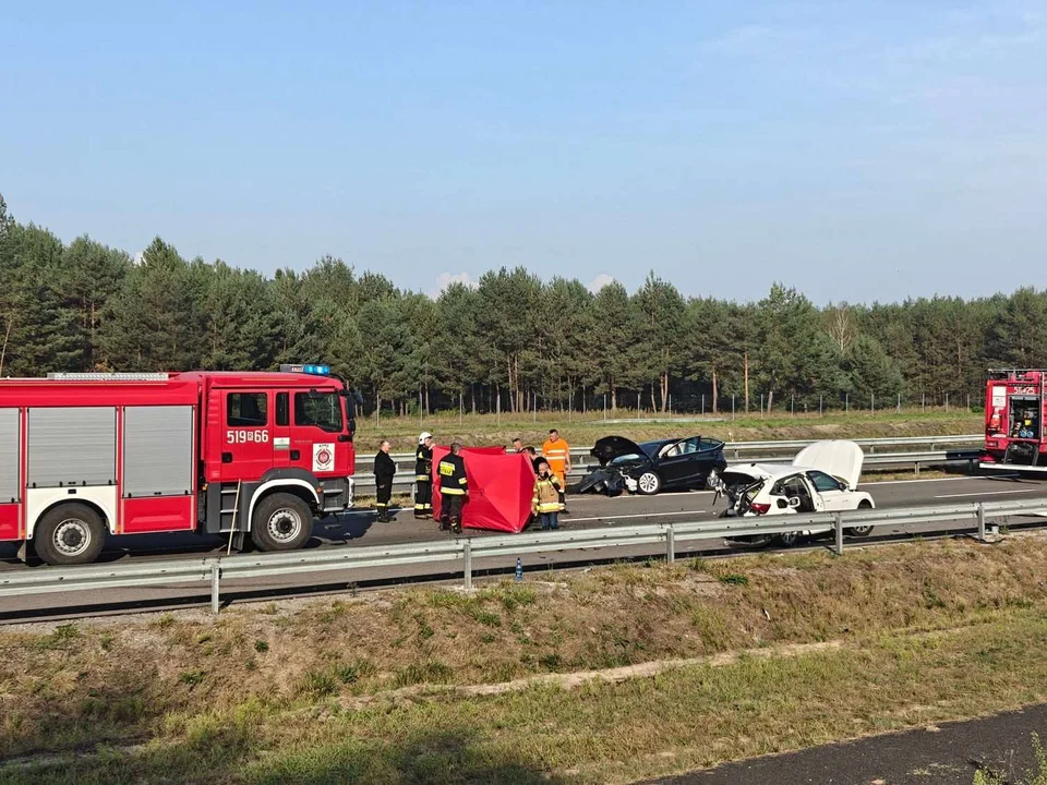 Śmiertelny wypadek na S19
